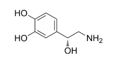 去甲腎上腺素